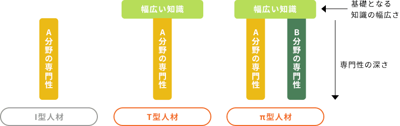 1つの分野の専門性をもったI型人材、そこに幅広い知識が加わるT型人材、2つの分野の専門性に幅広い知識を持つπ型人材。我々は、深い専門性からなる幅広い基礎知識を持つ、T型とπ型人材の育成に努めます